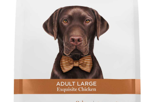 Adult large - Exquisite Chicken